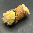 Heerlijke Cannoli Frutto della passione - Passievrucht, ambachtelijk gevuld met romige passievruchtvulling, perfect voor bij een bakje koffie.